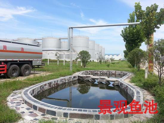 景观鱼池.jpg
