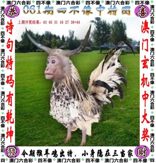 2025澳门天天彩开奖结果查询表和充电宝冒烟飞机返航与充电宝冒烟飞机返航会爆炸吗