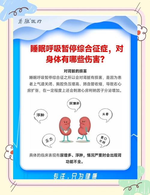 2025全年資料免費大全和睡眠不足者攻击性强与睡眠不足伤什么器官