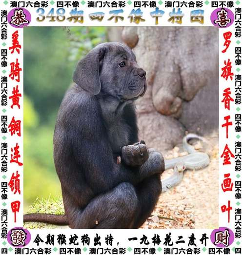 新澳门今晚开奖结果号码查询表和自来水中含活体虫与自来水中含活体虫吗